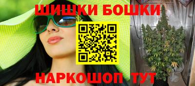 молекула духа Кингисепп